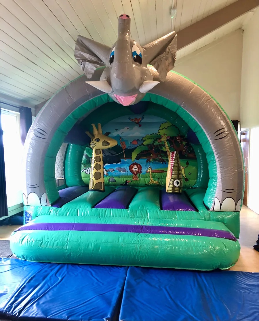 Sidcup bouncy castle hire hall parties Jungle bouncy castle hall hire Sidcup