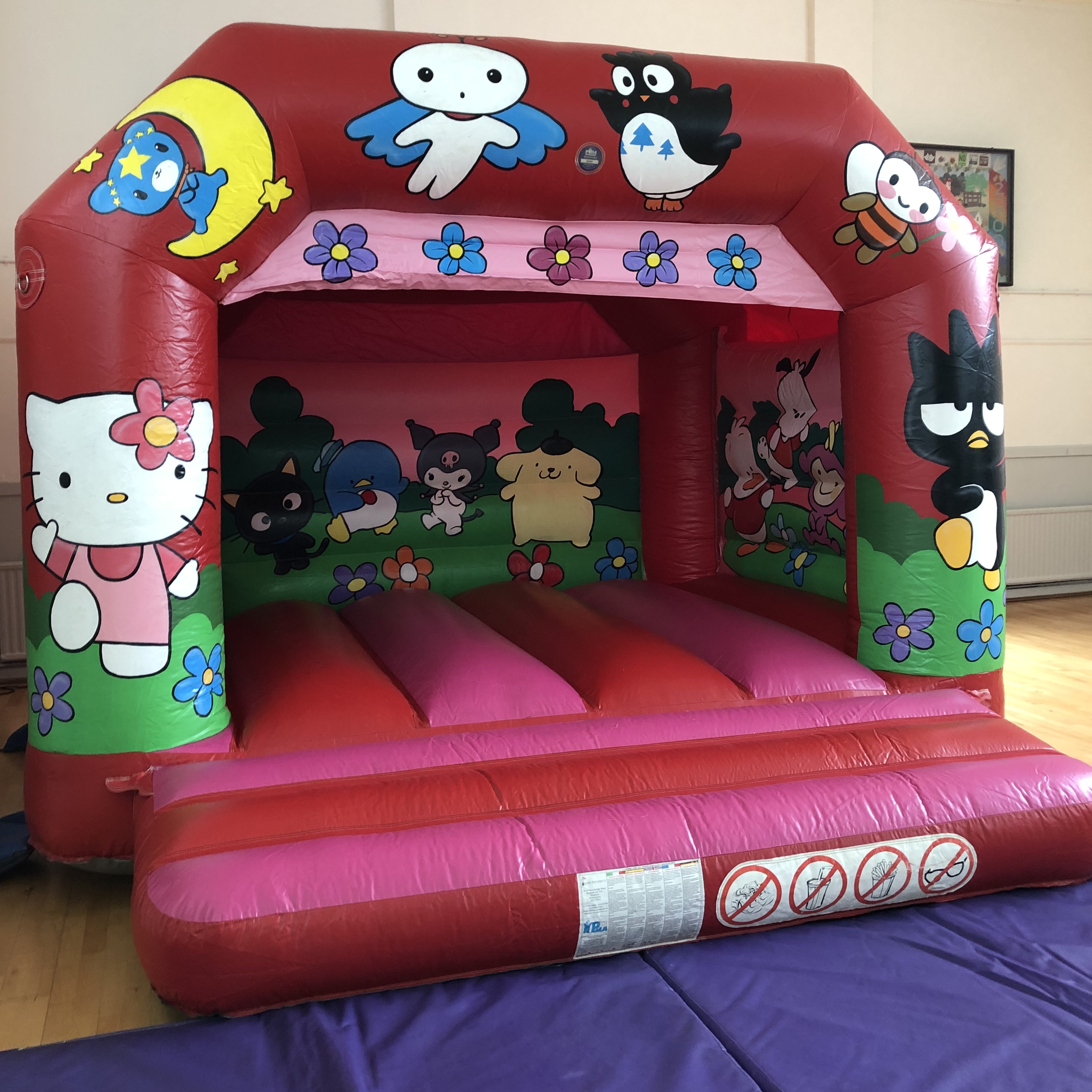  Pink kitten bouncy castle hire in Bexleyheath for children’s birthday parties