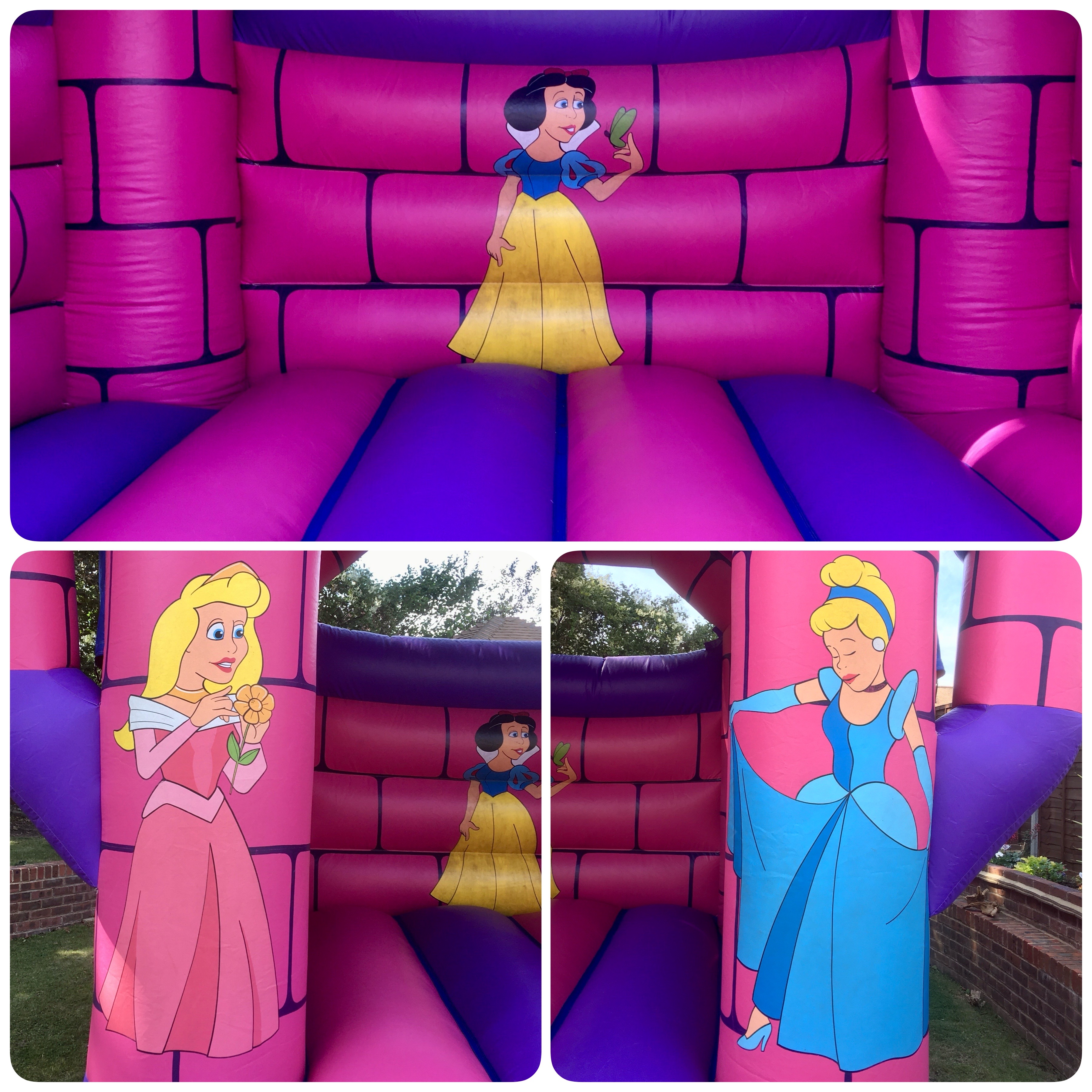 Princess Enchanted artwork on bouncy castle hire 