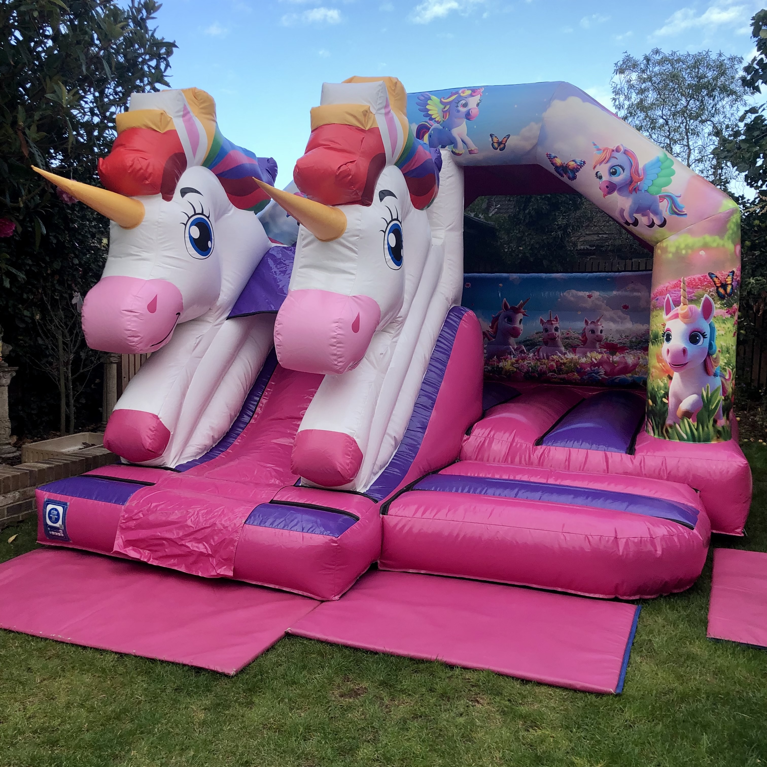 Unicorn bouncy castle hire in Wilmington 